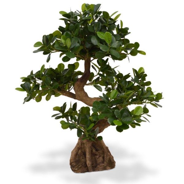 108007-panda-bonsai-70-op-voet_8