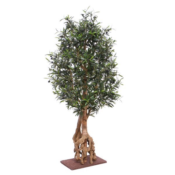 135615_Olijf_Bonsai_Deluxe_150_N_3