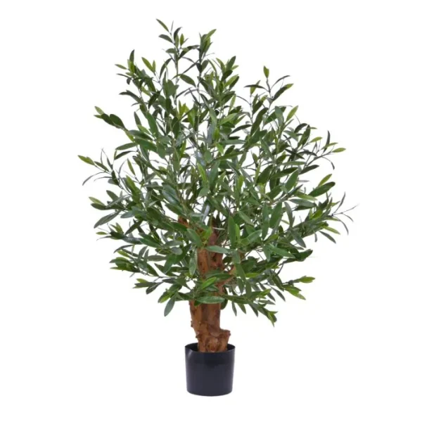 kunst olijf bonsai