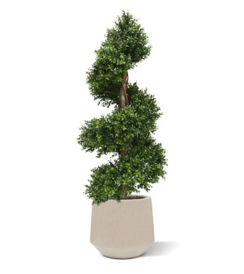 Uv-bestendige buitenplanten