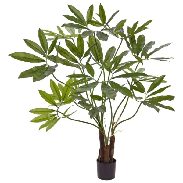 Philodendron fun bun deluxe 100cm