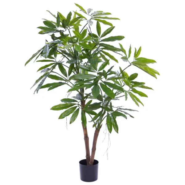 Philodendron fun bun deluxe 155cm