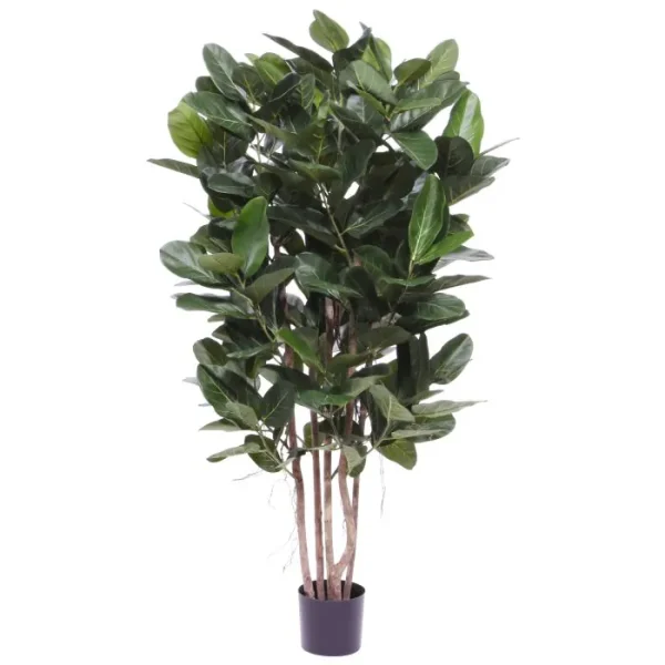 Ficus Audrey kolom deluxe 155cm