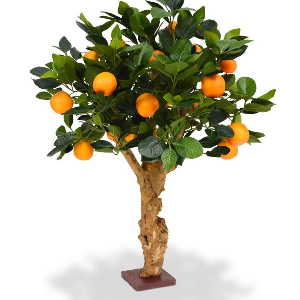 193006_sinaasappel_bonsai_65_op_voet_4