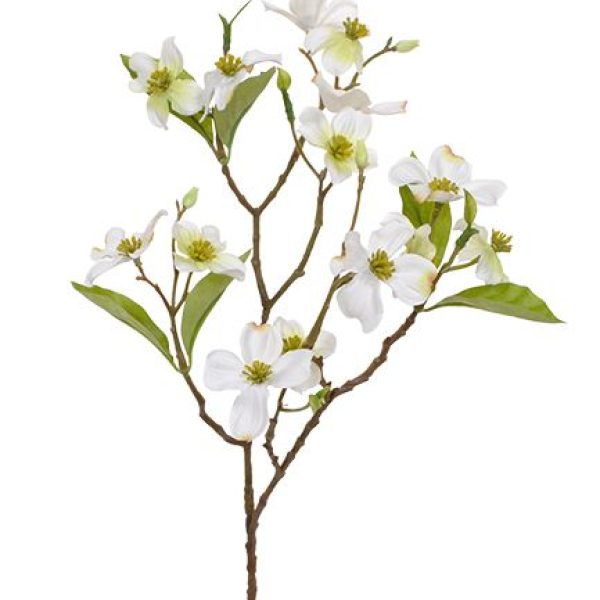 511005_dogwood_tak_50_creme_close_5