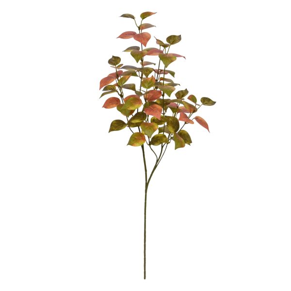 520407_Herfstpopuliertak_70_01