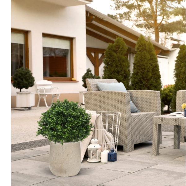 Buitenplanten Uv-bestendige planten