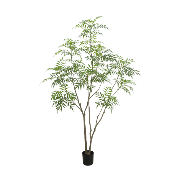 bamboe-boom-240cm
