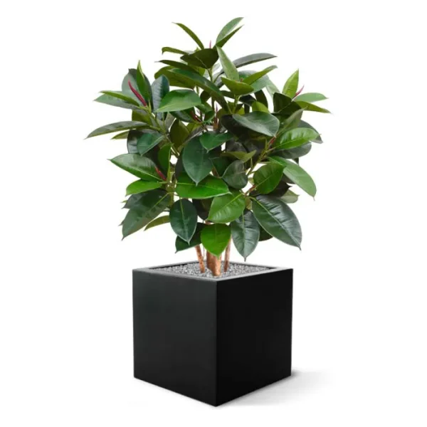 Elastica robusta kunstplant 90cm